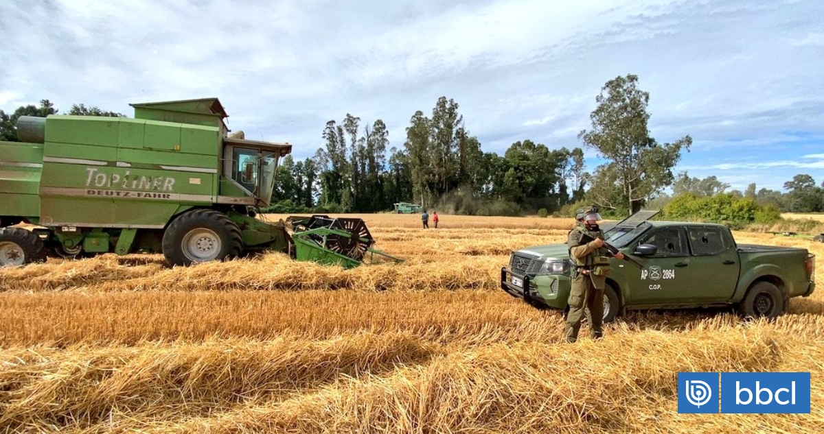 Plan Cosecha Segura en La Araucanía