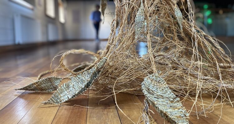 Somos Raices de Raquel Aguilar