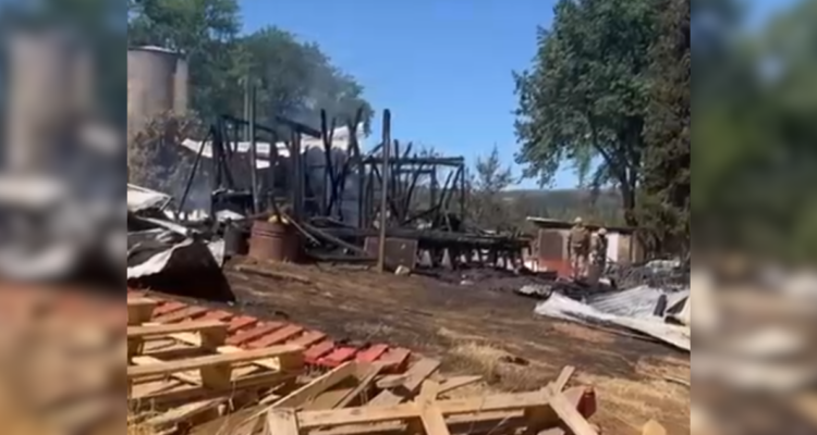 Atentado Lumaco Gobierno