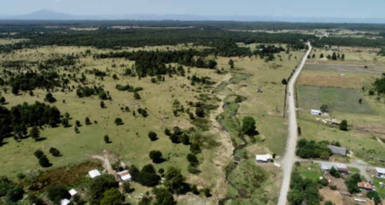 Monte verde puerto Montt