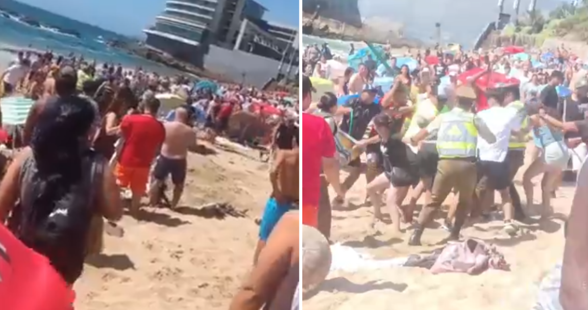 Masiva riña viña del mar