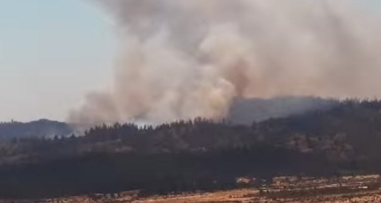 Alerta roja incendio forestal reserva lago peñuelas