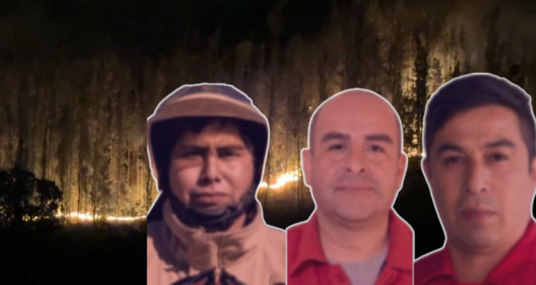 MUjer detenida incendio forestal los sauces