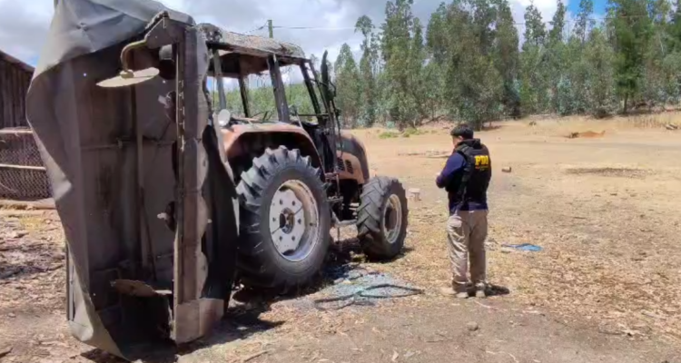 Ataque incendiario los sauces