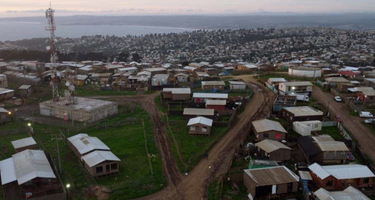 megatoma cerro centinela