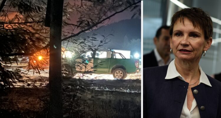 Tohá por muerte de brigadistas en combate de incendio forestal en Los Sauces