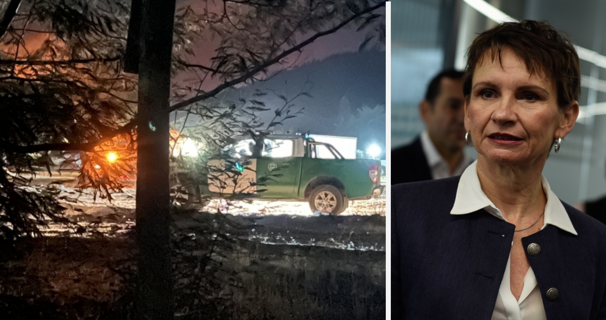 Tohá por muerte de brigadistas en combate de incendio forestal en Los Sauces