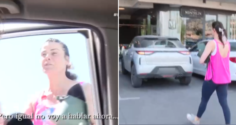 Molestia de Tonka Tomicic