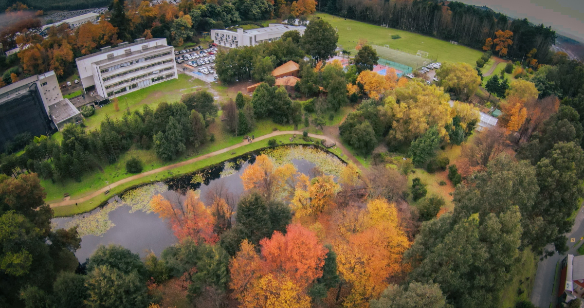 Universidad Católica de Temuco: construyendo futuro con solidez, enfoque humano y sostenibilidad