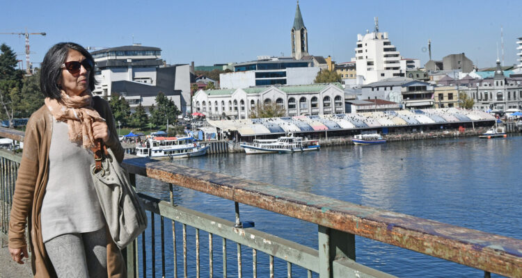 Con modelos eléctricos: autoridades buscan recursos para nuevas líneas de buses en Valdivia