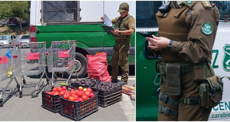 Detienen a vendedora ambulante por morder a carabinero en fiscalización al comercio ilegal en Lota