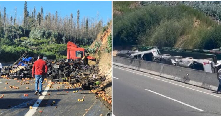 Volcamiento de camiones con carga en Autopista del Itata
