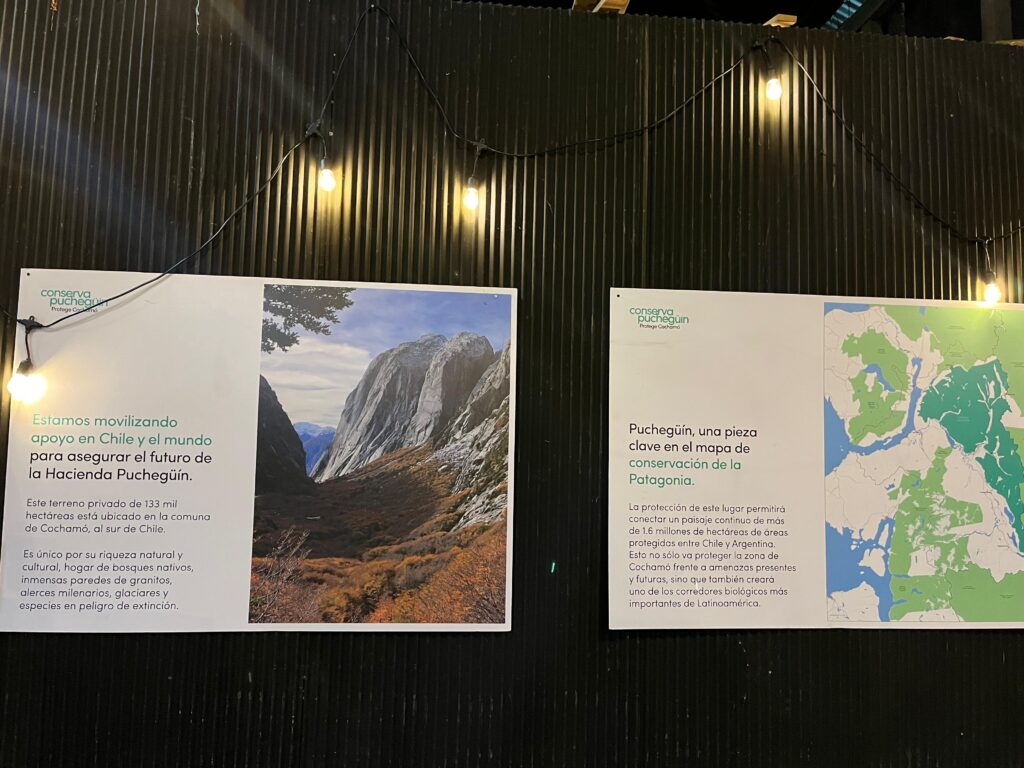 Casi un 50% de fondos ha recaudado la campaña que busca salvar emblemática zona ecológica de Cochamó