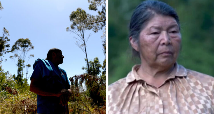 100 días sin Julia Chuñil: en sus familiares persiste “la esperanza de encontrarla viva”