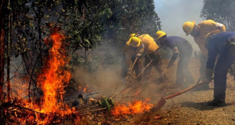 Toque de queda en La Araucanía: las comunas en que regirá la medida ante calor e incendios forestales