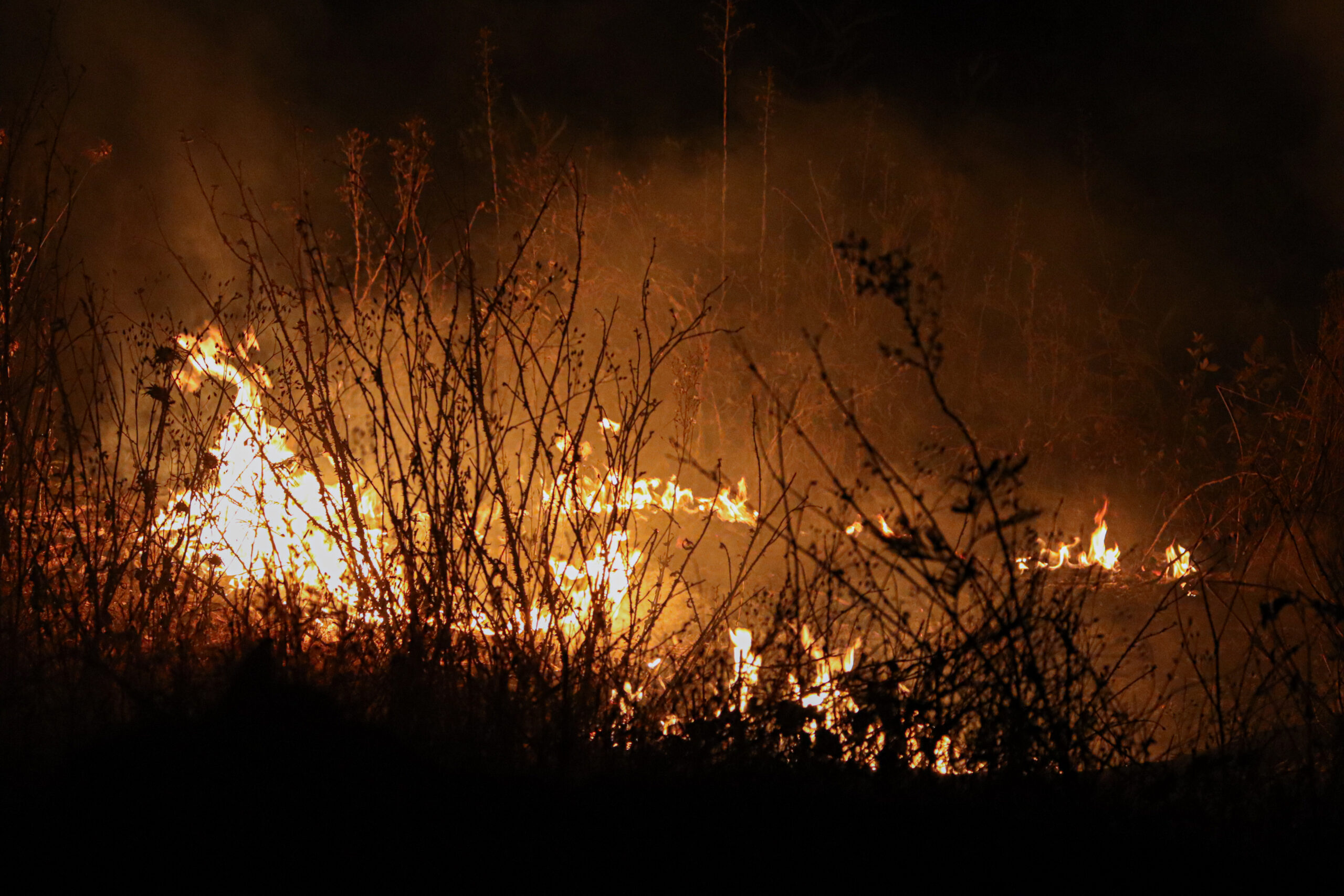 Presunta autora de foco de incendio forestal en Galvarino
