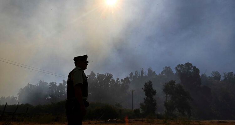 Adulta mayor muere durante incendio forestal en la comuna de Curepto