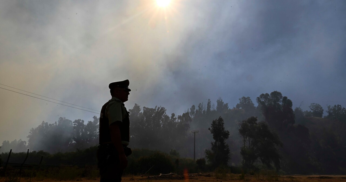 Adulta mayor muere durante incendio forestal en la comuna de Curepto