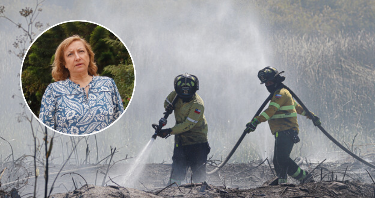 Directora de CONAF afirma que los incendios en La Araucanía son intencionales y continúan creciendo