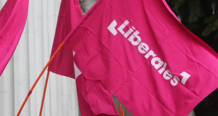 “Luquitas extras”: Partido Liberal busca captadores de firmas en Magallanes para mantenerse vigente