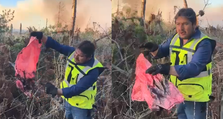 Alcalde de Galvarino denuncia hallazgo de sacos con líquido acelerante en combate de incendio forestal