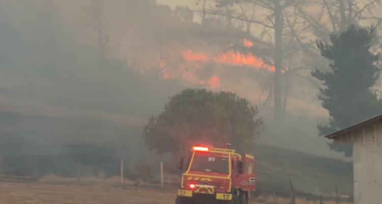 Declaran alerta roja para Carahue por incendio forestal: van más de 200 hectáreas afectadas