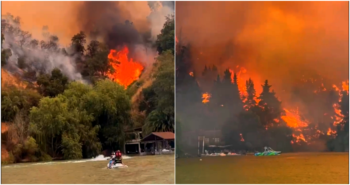 Alerta Roja en Litueche por incendio forestal que arrasa 110 hectáreas y amenaza zonas pobladas