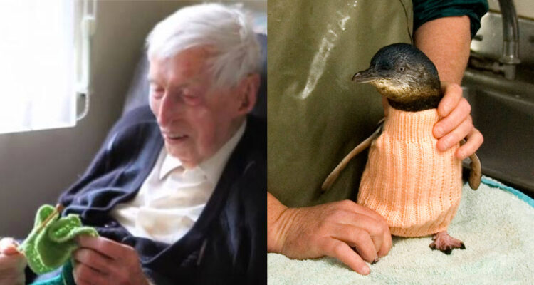 La curiosa historia del hombre de 110 años que pasó sus últimos días tejiendo chalecos para pingüinos
