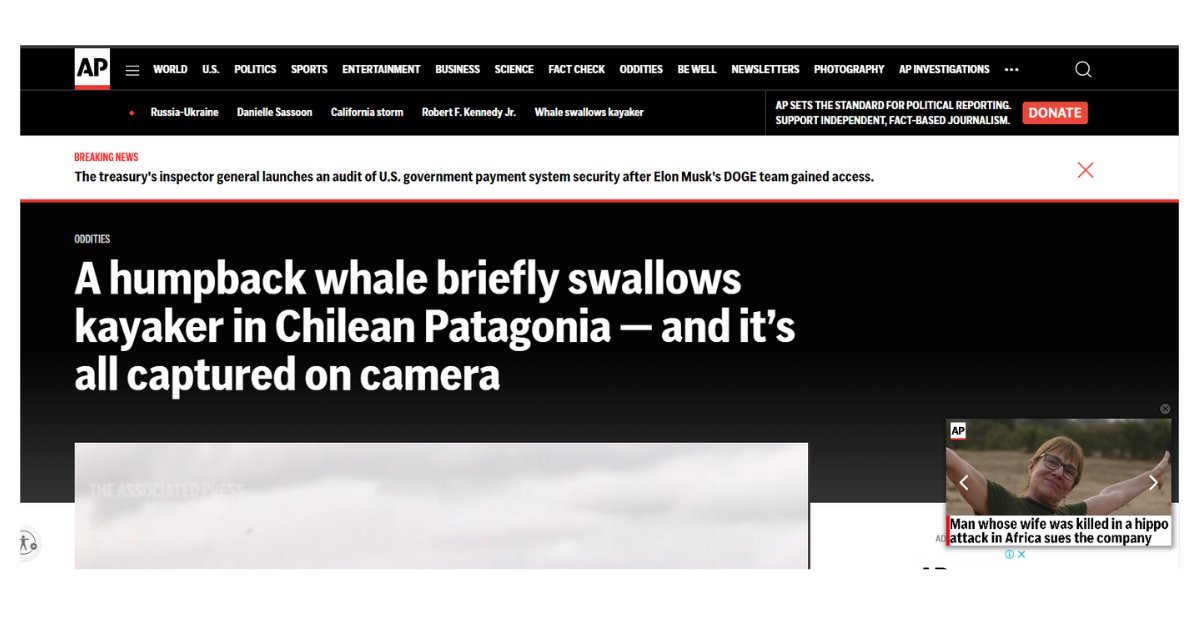 AP News y noticia de joven tragado y expulsado por ballena
