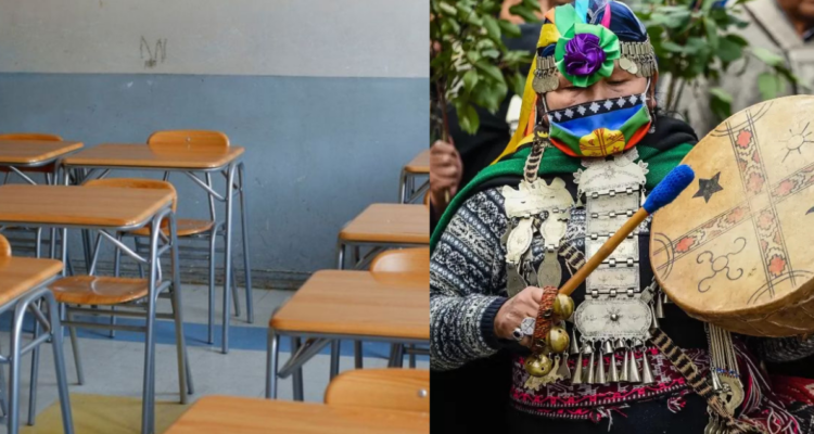 En qué consiste la asignatura de pueblos originarios obligatoria y qué colegios deberán impartirla