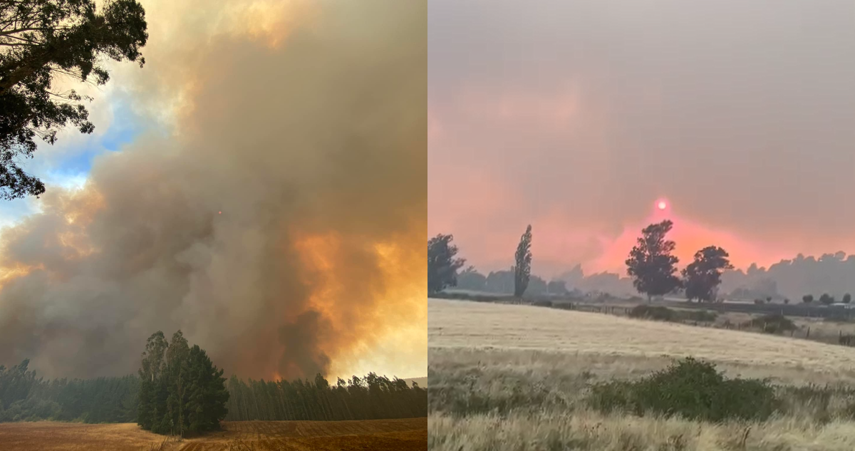 Autoridades piden evacuar en Traiguén por inminente llegada de fuego desde incendio de Galvarino