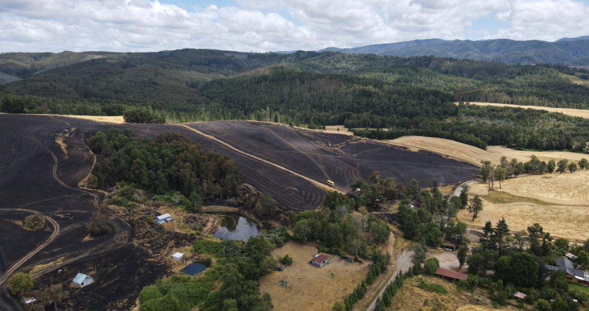 Incendio forestal en Purranque consume al menos 49 hectáreas