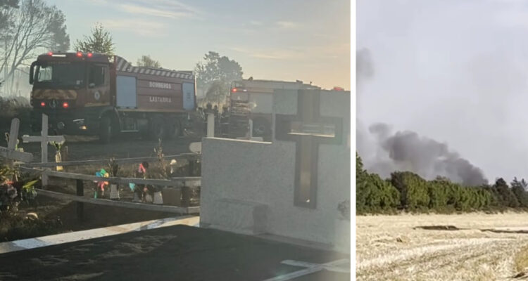 Dos bomberos resultan lesionados por incendio en Pitrufquen: llamas no lograron entrar a cementerio