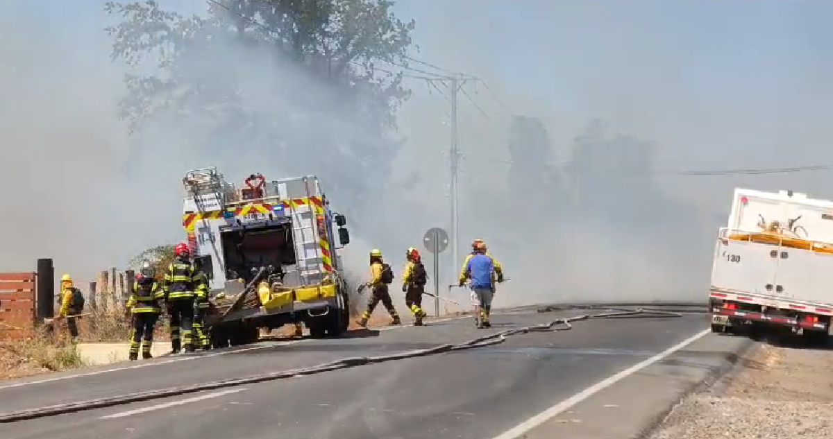 Empresarios del Bío Bío se unen a petición para que Gobierno decrete toque de queda por incendios