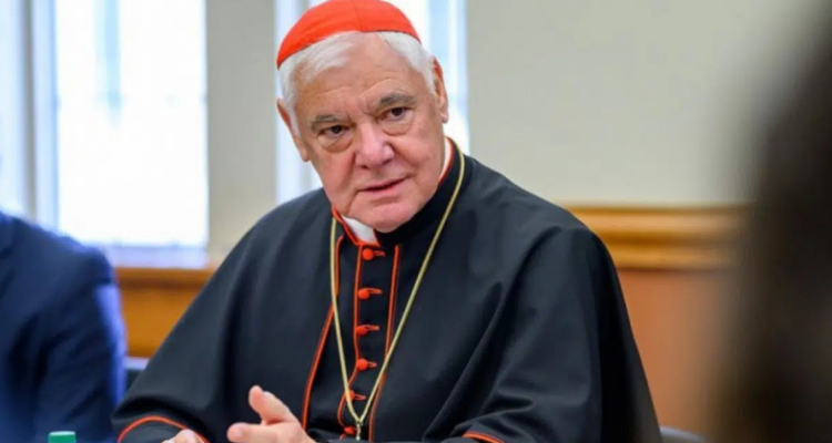 cardenal alemán Gherard Ludwig Müller