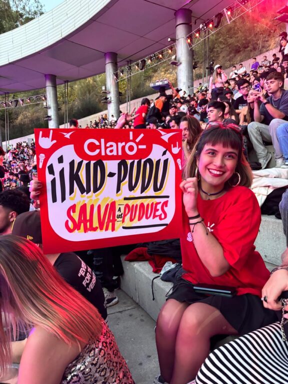 "Ven a comer completos a Talca": los carteles más llamativos de la quinta noche del Festival de Viña