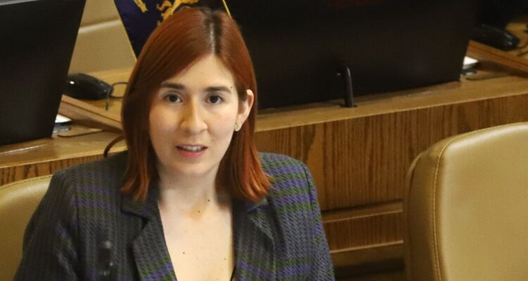 Caso Democracia Viva: grado de participación de diputada Catalina Pérez abre debate entre expertos