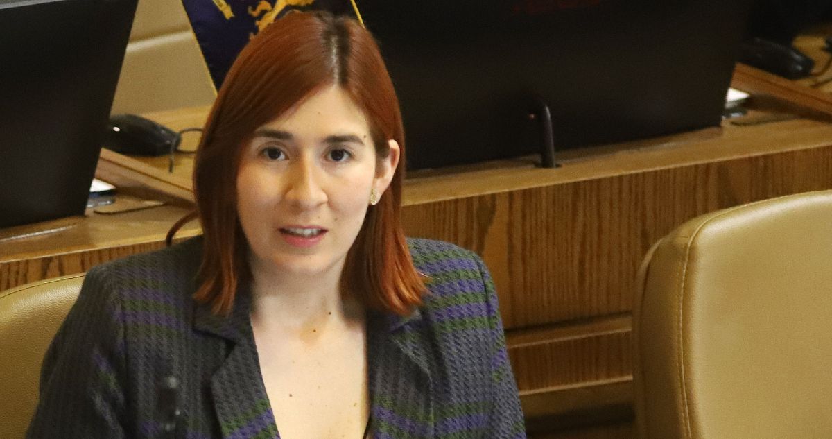 Caso Democracia Viva: grado de participación de diputada Catalina Pérez abre debate entre expertos