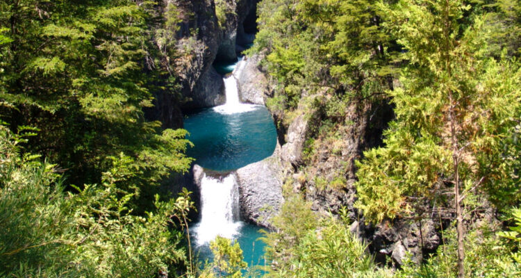 Cierran preventivamente parques nacionales desde Valparaíso a La Araucanía por altas temperaturas