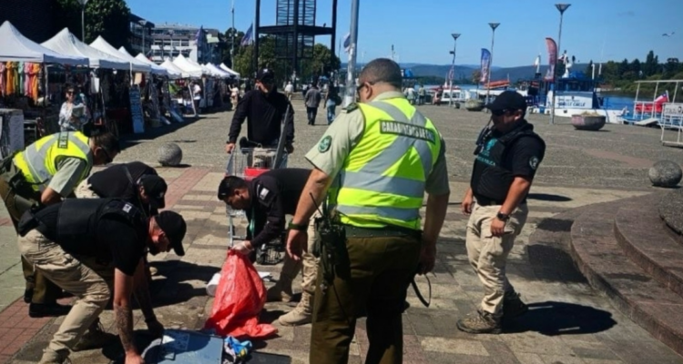 Fiscalización a comercio ambulante en Valdivia por citaciones a Juzgado de Policía Local