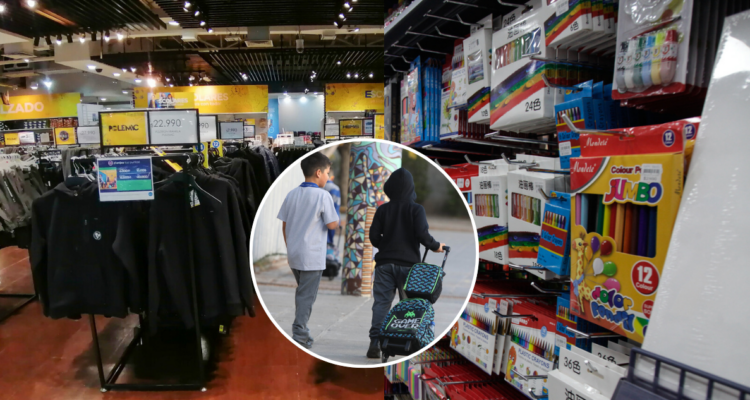 Cotizador Escolares 2025