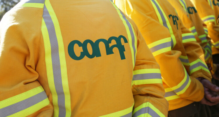 Camión con brigadistas de la Conaf protagoniza accidente de tránsito en Galvarino: hay tres lesionados