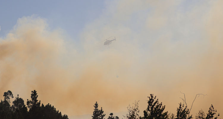 Declaran Alerta Roja en la región del Bío Bío por incendios forestales en Mulchén y Punta de Parra
