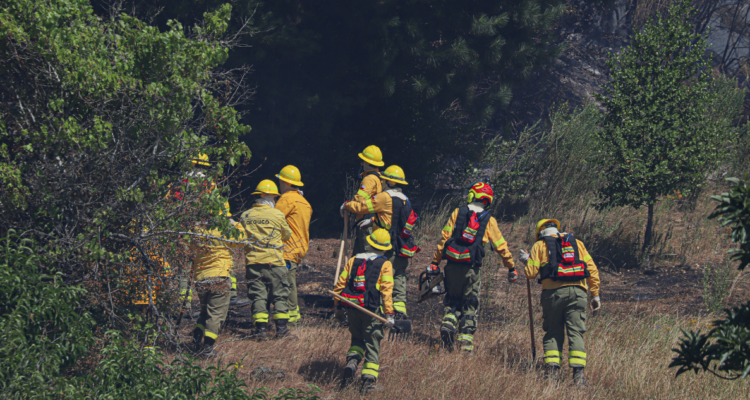 Declaran incendio forestal en Liucura, al sur de Quillón: 1 vivienda afectada y 5 en peligro
