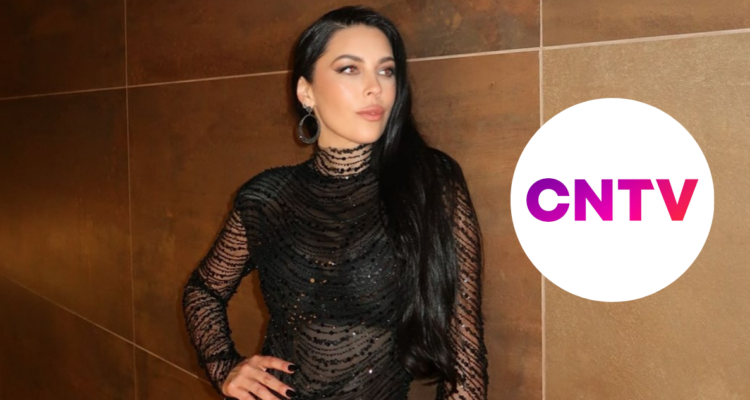 Daniela Aránguiz en referencia a lo más denunciado al CNTV en enero