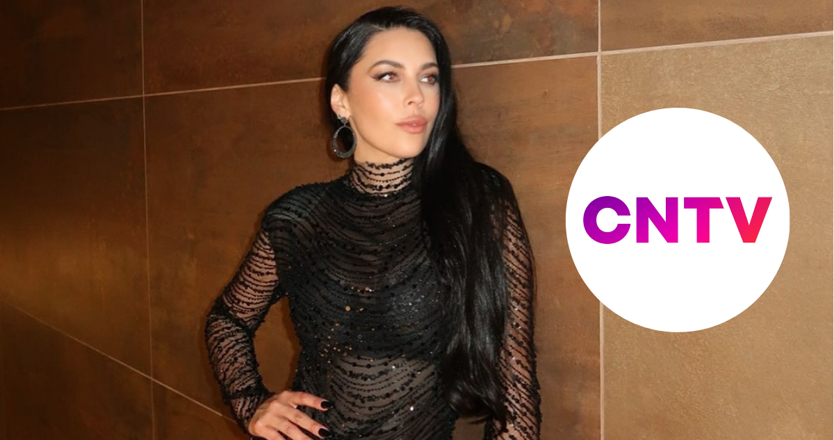 Daniela Aránguiz en referencia a lo más denunciado al CNTV en enero