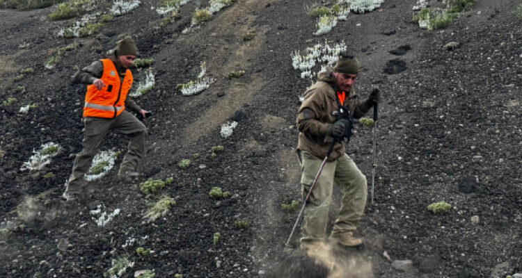 Encuentran en buenas condiciones a hombre de 32 años que desapareció en el volcán Llaima