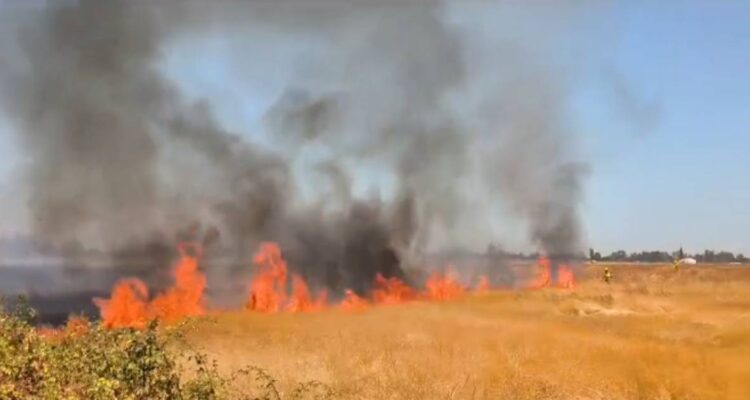 Detienen a tres acusados por incendio forestal en Coihueco: no habrían tomado precauciones en trabajos