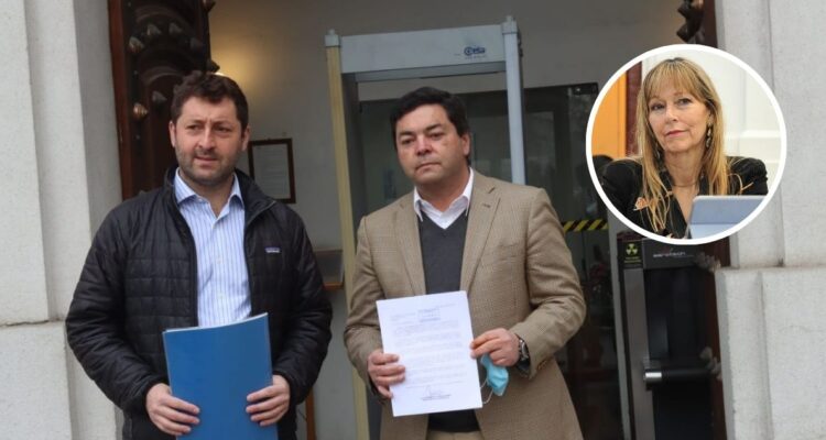 Diputados UDI pide tramitar reforma para cesar del cargo a autoridades que consuman drogas tras caso de Ana María Gazmuri