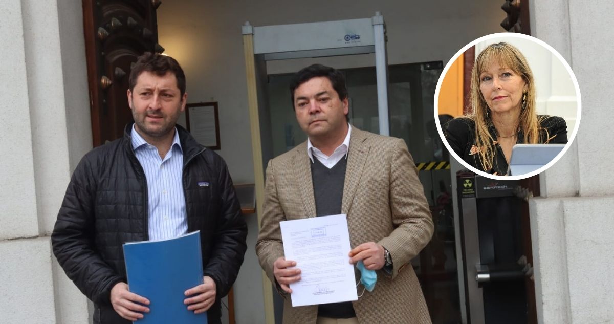 Diputados UDI pide tramitar reforma para cesar del cargo a autoridades que consuman drogas tras caso de Ana María Gazmuri